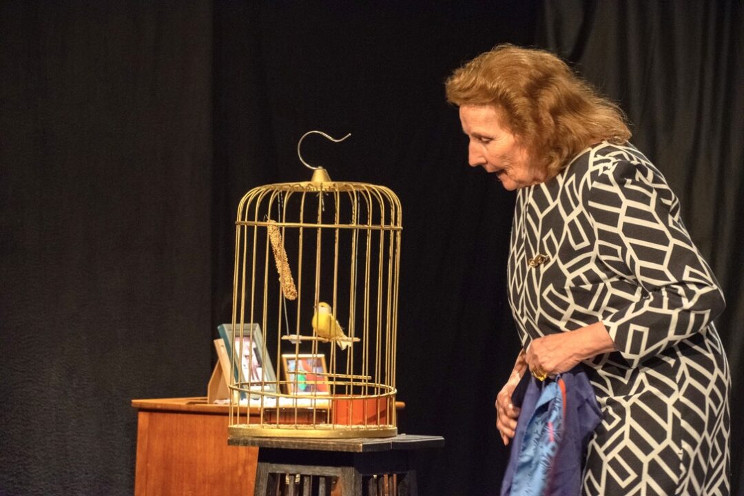 184BA9CD-F69B-46FD-BC40-7EB852693326_1_105_c